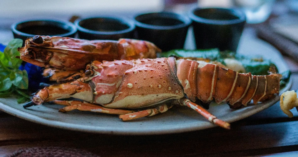10 Best Restaurants in Dallas