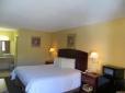 Welcome Inn image 12